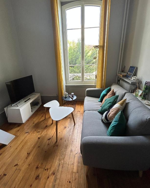 un salon avec un canapé et une télévision dans l'établissement Appartement Royat 2 pièces 33m2, à Royat