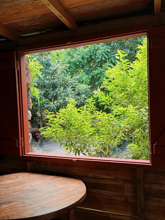 a window in a room with a table and bushes at Guarda Garden Cabanas in Palhoça