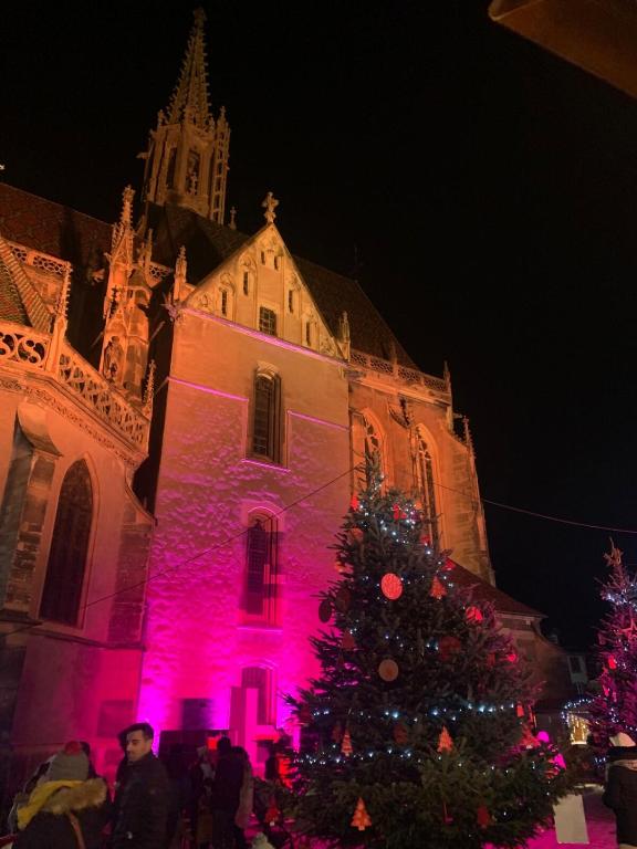 Le Nid douillet de Thann, pros et familles – photo 24