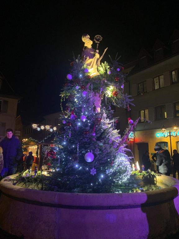 Le Nid douillet de Thann, pros et familles – photo 48