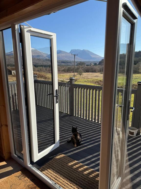 Domácí mazlíčci ubytovaní s hosty v ubytování Isabels Cabin