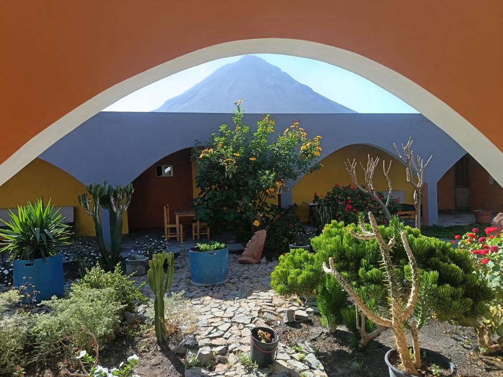 Zahrada ubytování casa alcindo