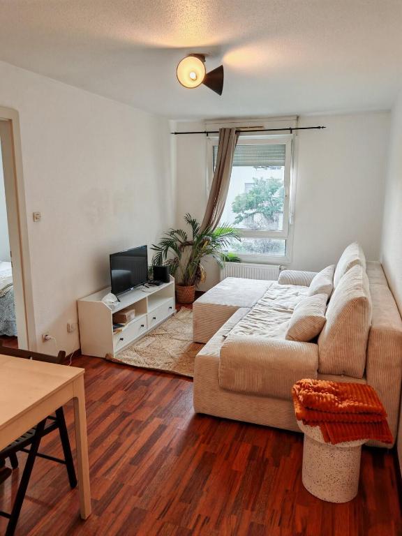 salon z kanapą i telewizorem w obiekcie Charmant appartement au centre w Strasburgu
