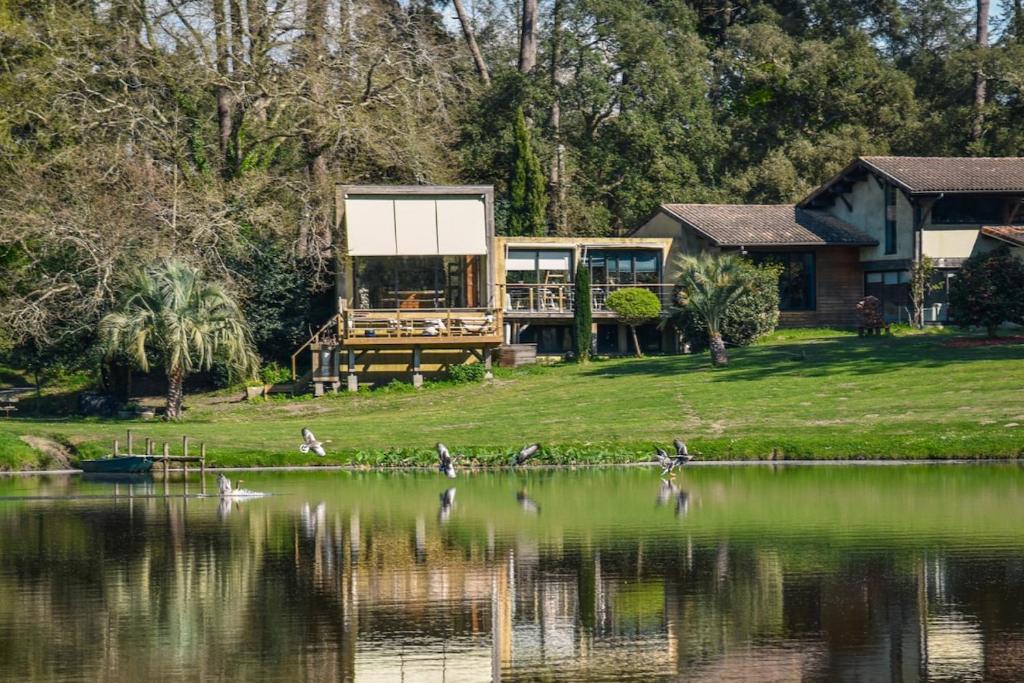 une maison sur la rive d'un lac avec des oiseaux sur l'eau dans l'établissement Les Nymphéas, peaceful haven & private pond, à Angresse