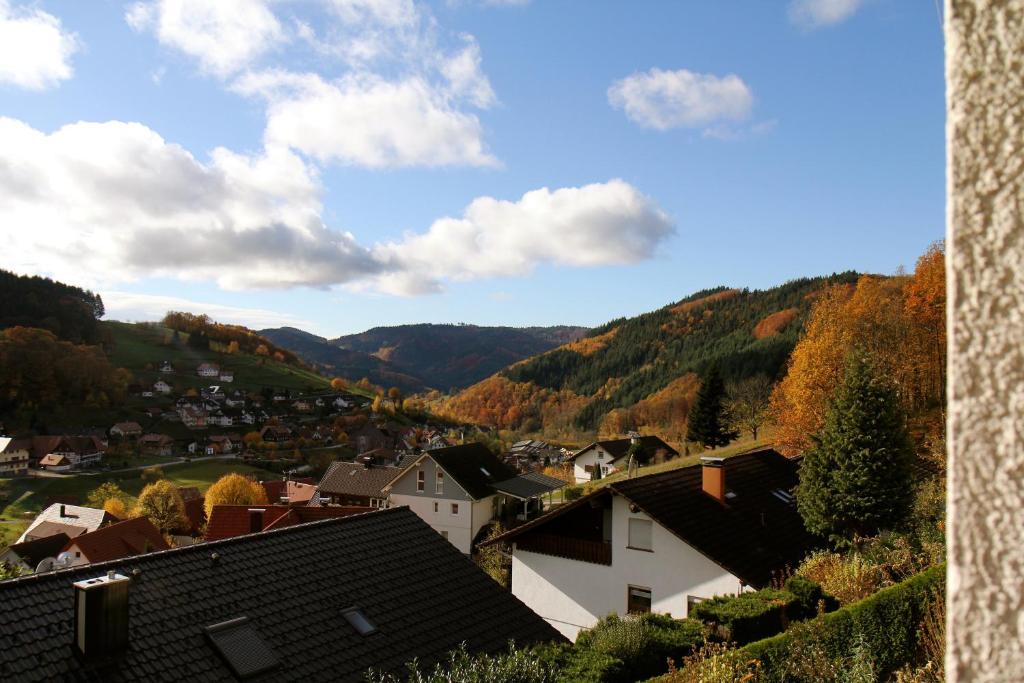 Příroda nedaleko apartmánu
