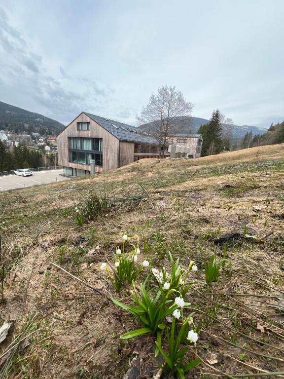 Příroda nedaleko apartmánu
