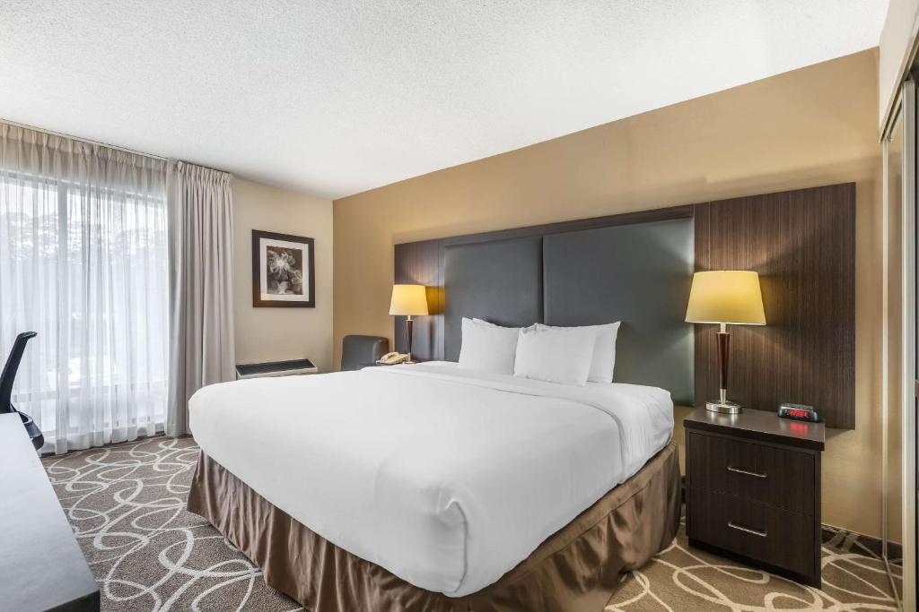 Comfort Inn - 