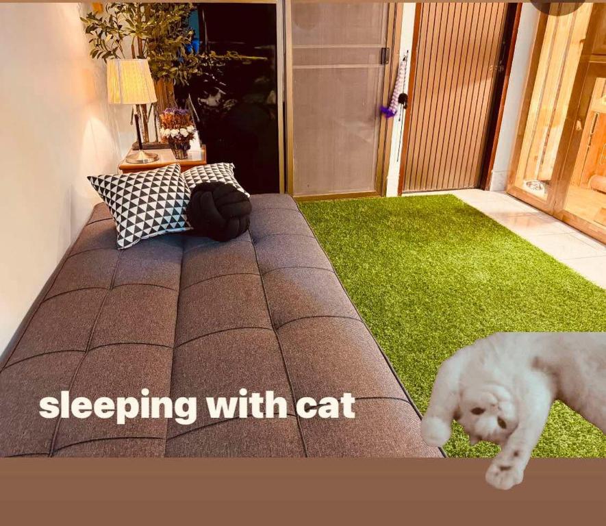 ハジャイにあるCat Hotel Hatyai by Krissana Mansion cat onlyのリビングルームのベッドを犬が歩く