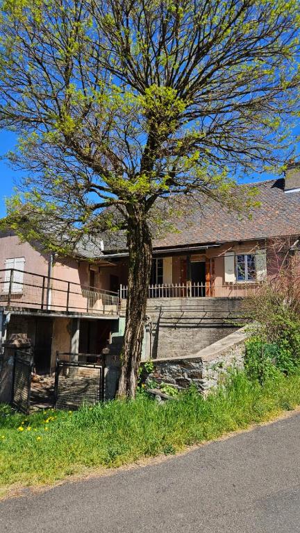 une maison avec un arbre devant dans l'établissement Maison de campagne à 15 minutes de Conques, à Conques-en-Rouergue