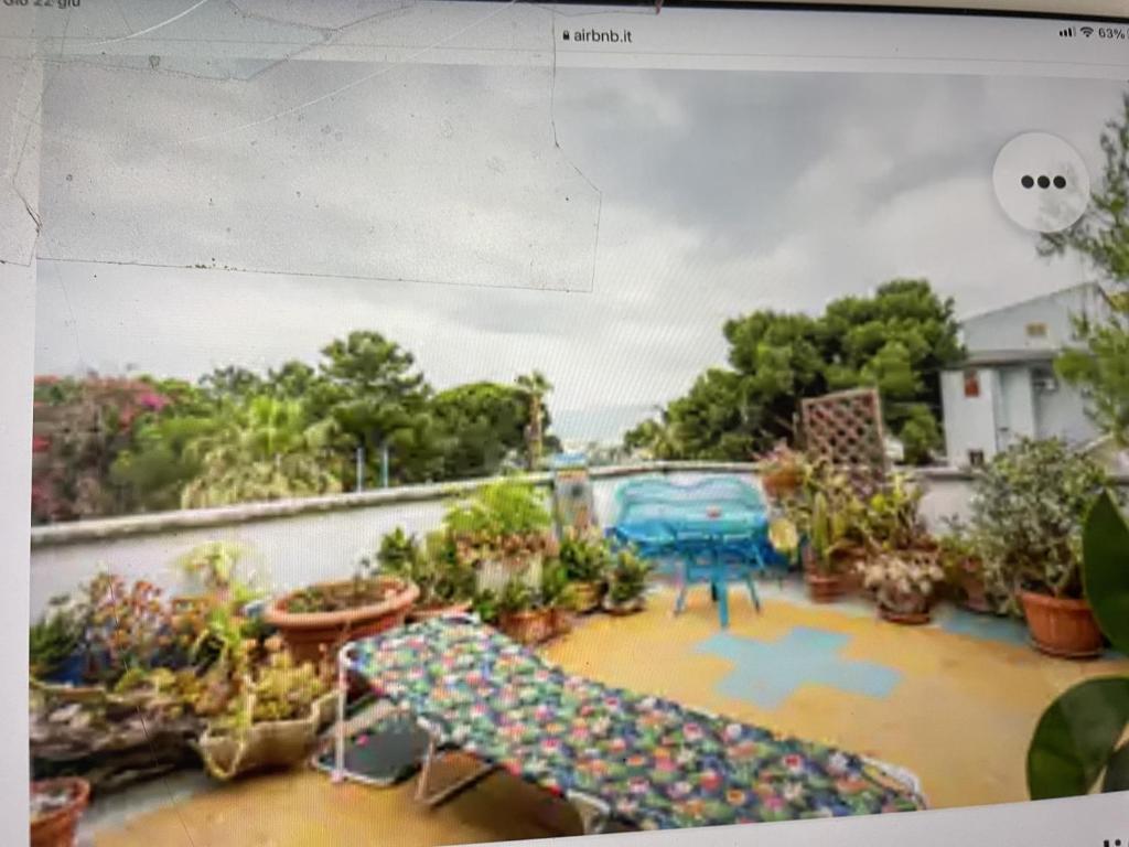 A garden outside Casa Patrizia