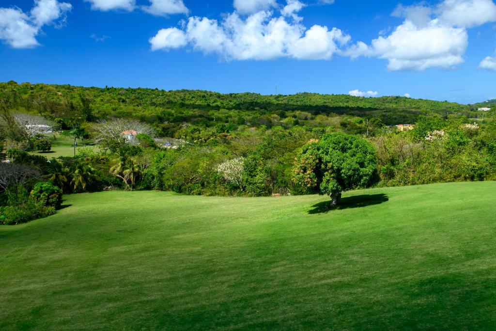 Club Vieques - Adults Only Resort - LGBT Friendly photo 5