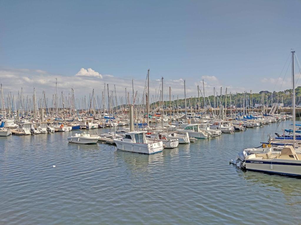un groupe de bateaux est amarré dans un port dans l'établissement Maison sur port vue mer imprenable, à Binic