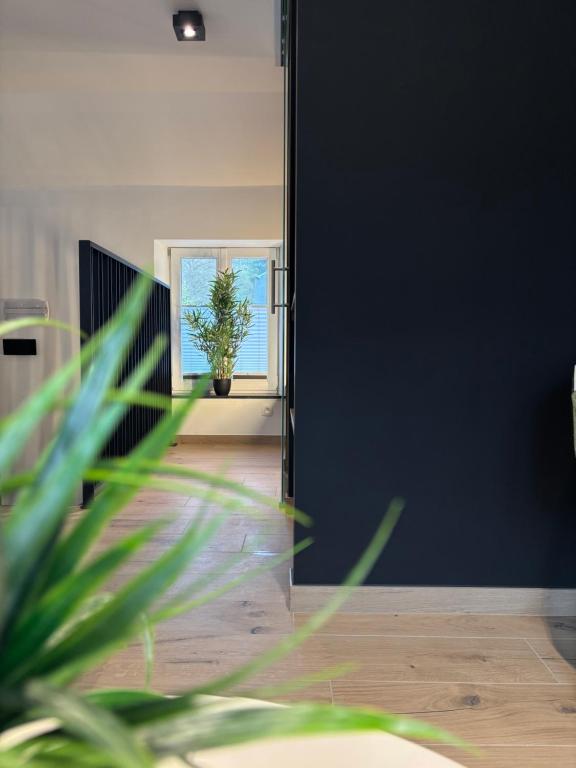 Fotografie z fotogalerie ubytování -1331- Chambres à louer v destinaci Durbuy