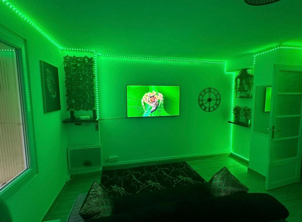 Cette chambre verte dispose d'une télévision sur un mur vert. dans l'établissement Le Maya Savana, à Marseille