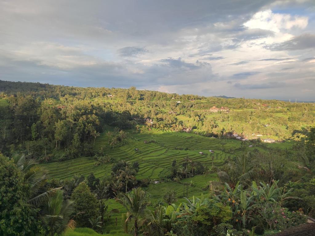 Gunza Bed and Breakfast - 17