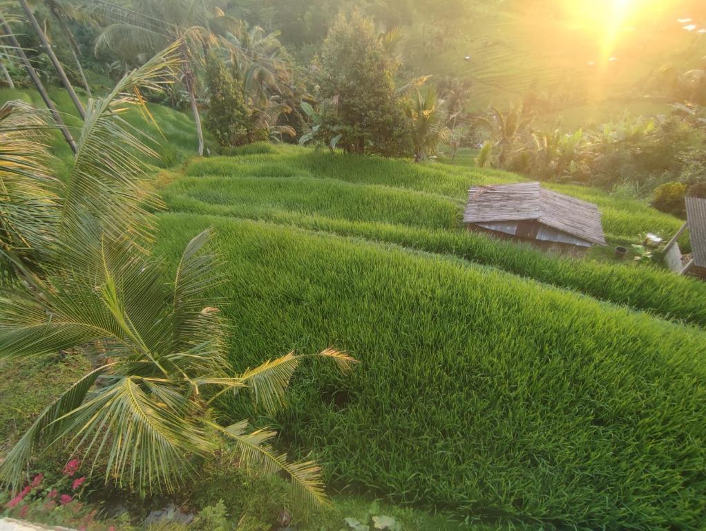 Gunza Bed and Breakfast - 18