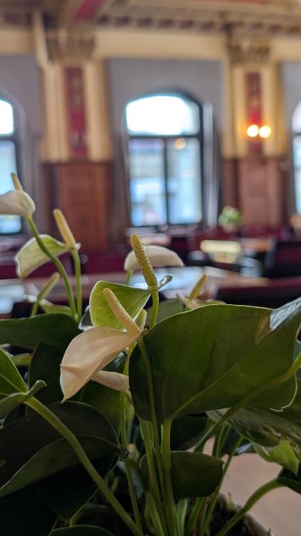 Un restaurante u otro lugar para comer en Hotel Harder Minerva