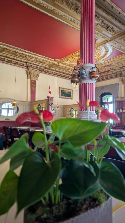 Hotel Harder Minerva - Resim 14