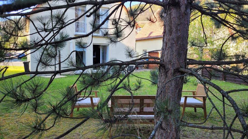 La petite maison du Florival – photo 20