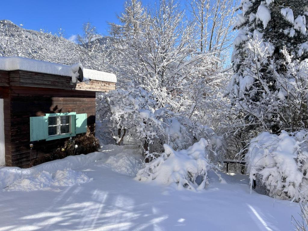 a house covered in snow next to some trees at Auszeit im Holzhaus in Steinach am Brenner