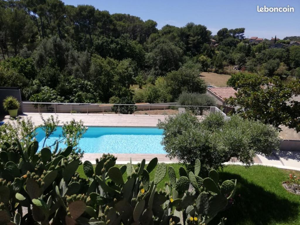 une image d'une piscine dans un jardin dans l'établissement La Parenthèse, à La Seyne-sur-Mer