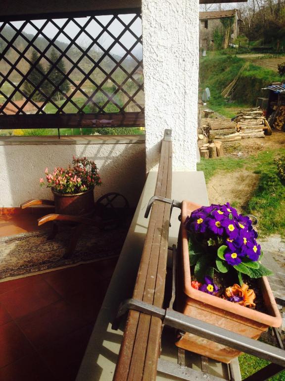 Zahrada ubytování Il Ghiro B&B