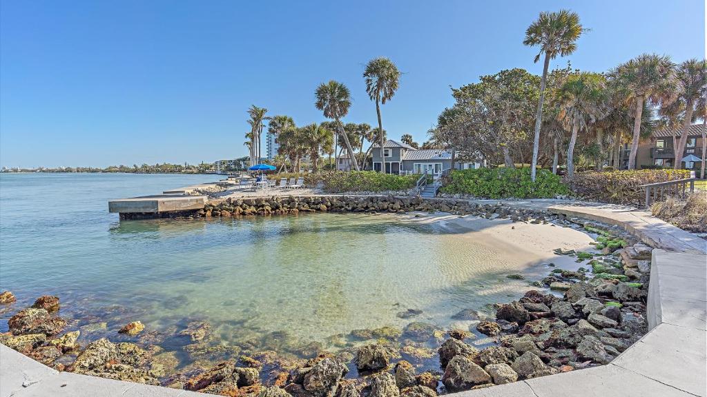 シエスタ・キーにあるSandy Cove Oasisの椰子の木が植えられた小さな島