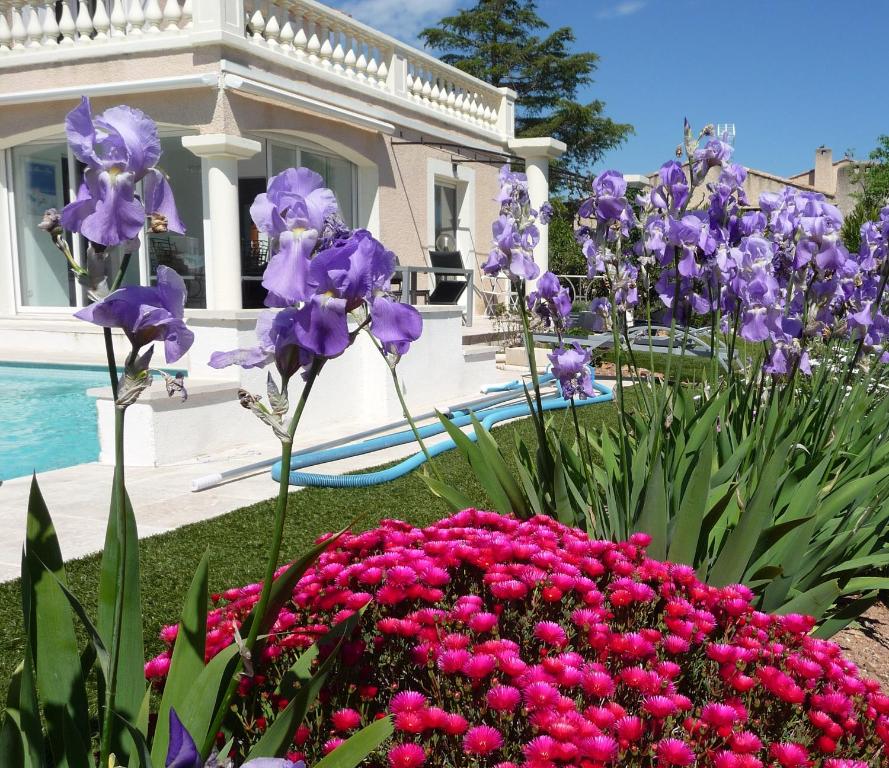 un jardin avec des fleurs violettes devant une maison dans l'établissement Villa Iris, climatisée avec 4 chambres et piscine à Boulouris sur Mer, à Saint-Raphaël