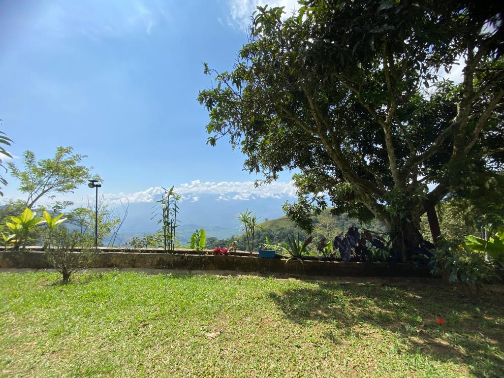 Finca La Tabaiba