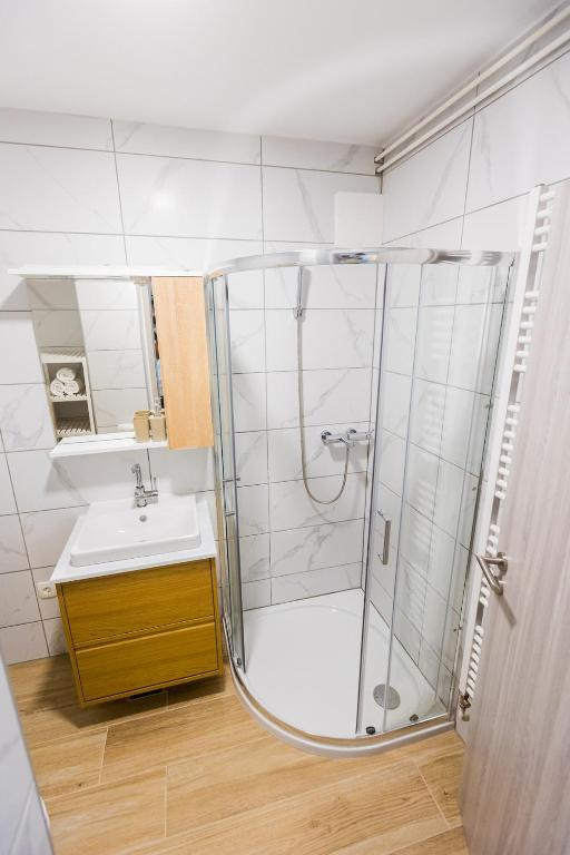 Koupelna v ubytování Apartma Tom