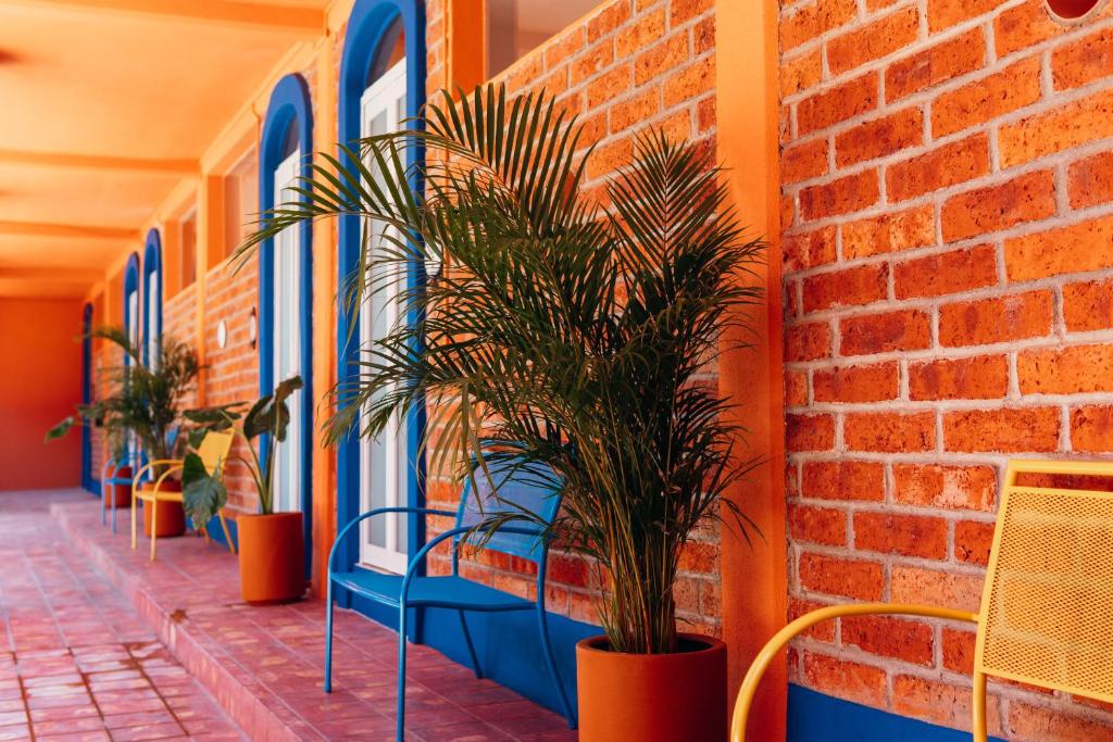 Fotografie z fotogalerie ubytování Boutique Hotel & Suites Hacienda Lord Twigg v destinaci Puerto Vallarta