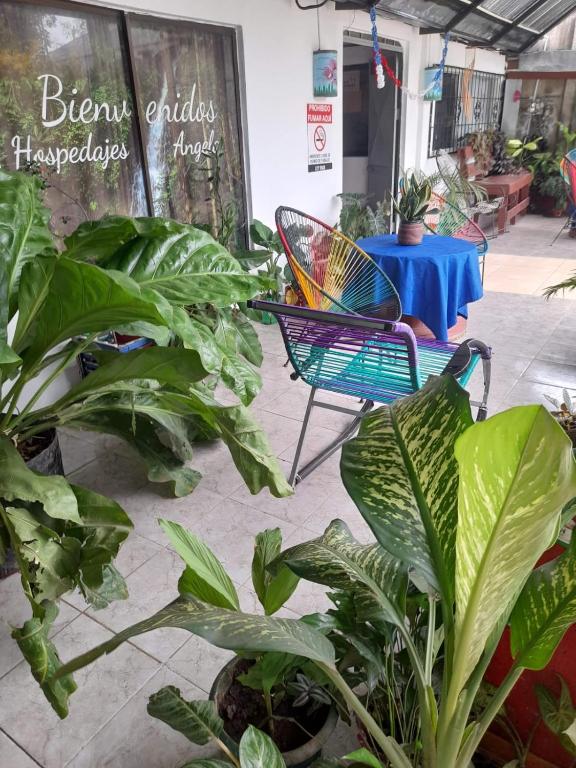 Fotografie z fotogalerie ubytování Hospedaje Angela v destinaci Nicoya