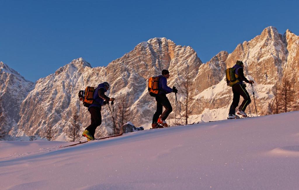 Majutusasutuse Aparthotel DAS Hochkönig külastajad
