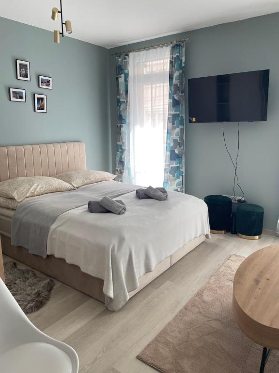 セゲドにあるPosh Cat City Apartmentのベッドルーム(ベッド1台、テレビ、テーブル付)