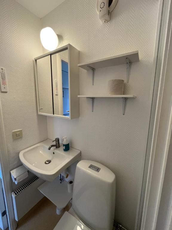Koupelna v ubytování Stuga Björkdalen