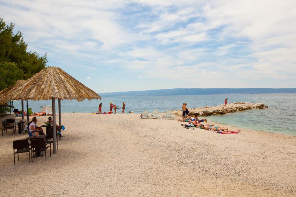 Príroda v okolí apartmánu