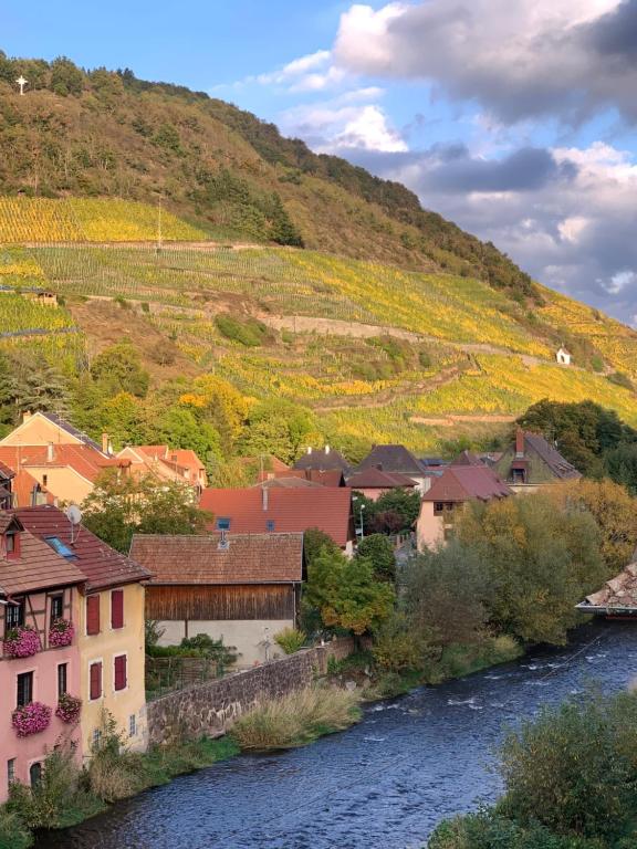 Le Nid douillet de Thann, pros et familles – photo 50