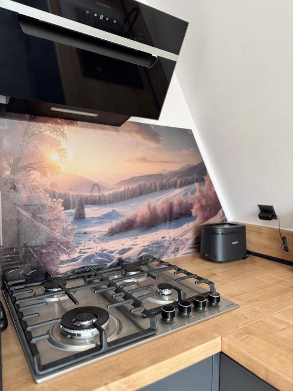Kuchyň nebo kuchyňský kout v ubytování Cabana A Frame In Jomp