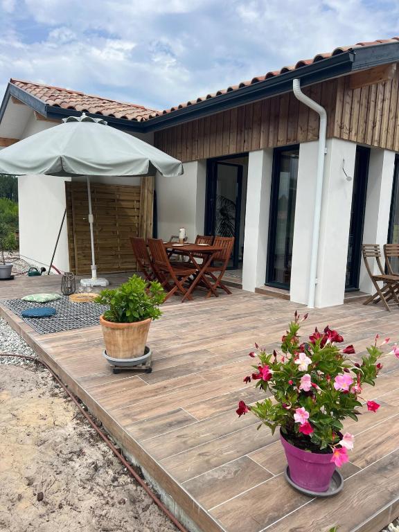 une terrasse en bois avec deux plantes en pot et un parasol dans l'établissement Maison entre océan et forêt landaise, à Vielle-Saint-Girons