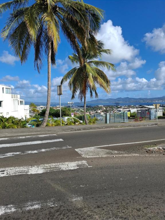 una calle vacía con palmeras a un lado de la carretera en Studio Fort-de-France, en Fort-de-France