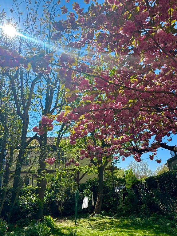 Photo de la galerie de l'établissement Montmartre Hidden Artist Loft, à Paris