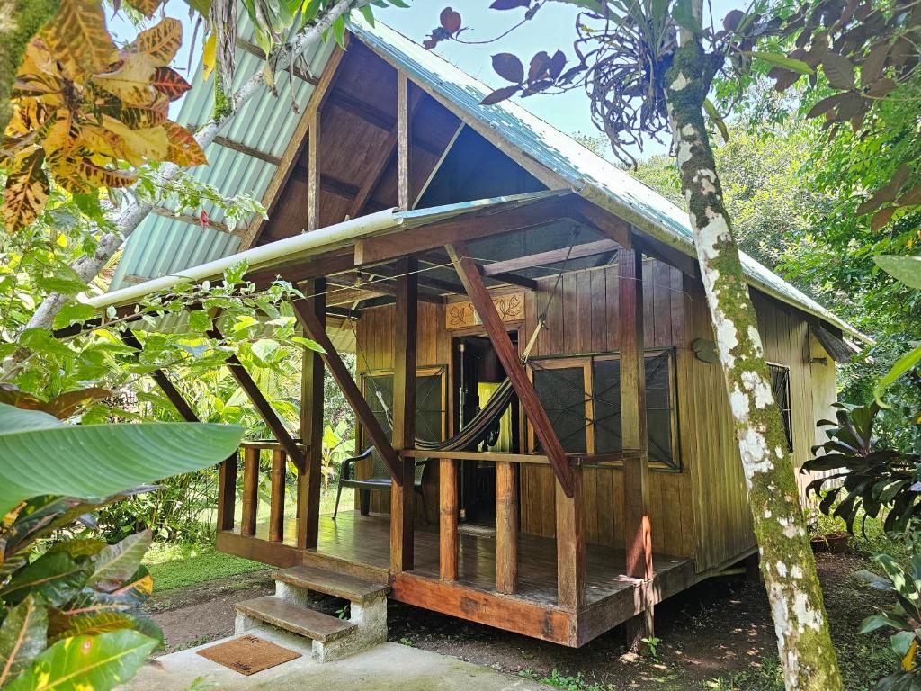 Zahrada ubytování Wildlife Lodge Cahuita