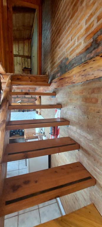 Murmullos del bosque