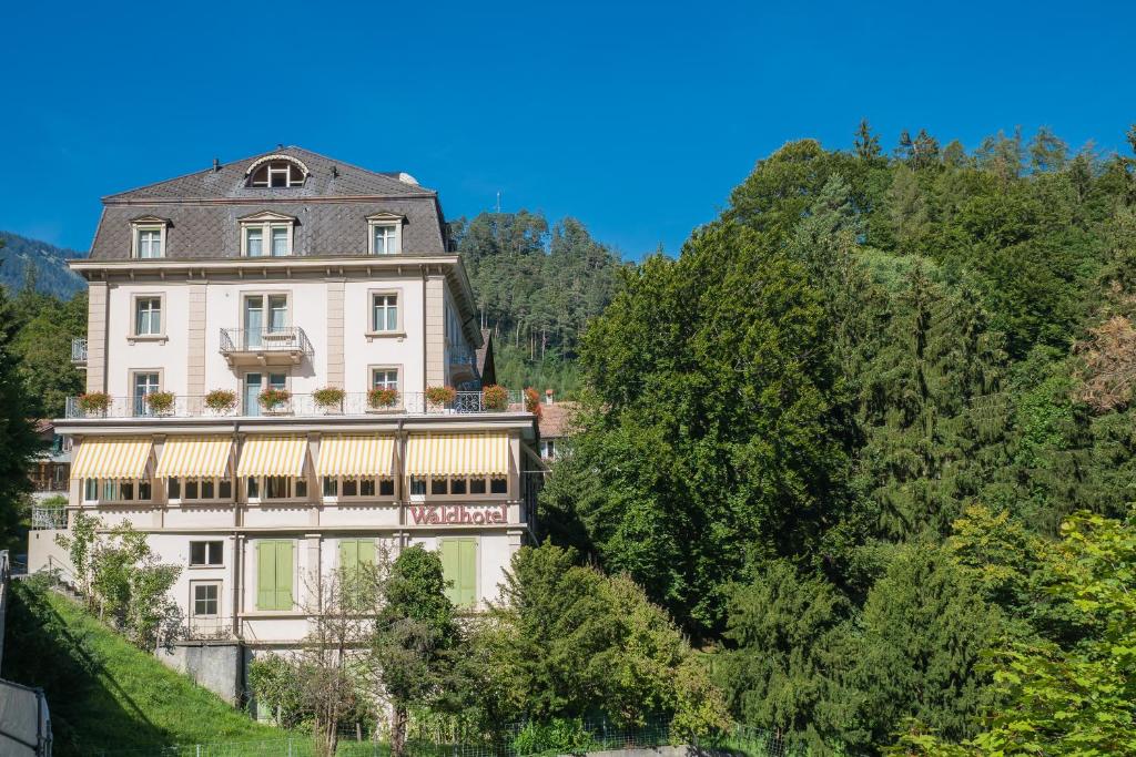 Zahrada ubytování Budget Waldhotel Unspunnen