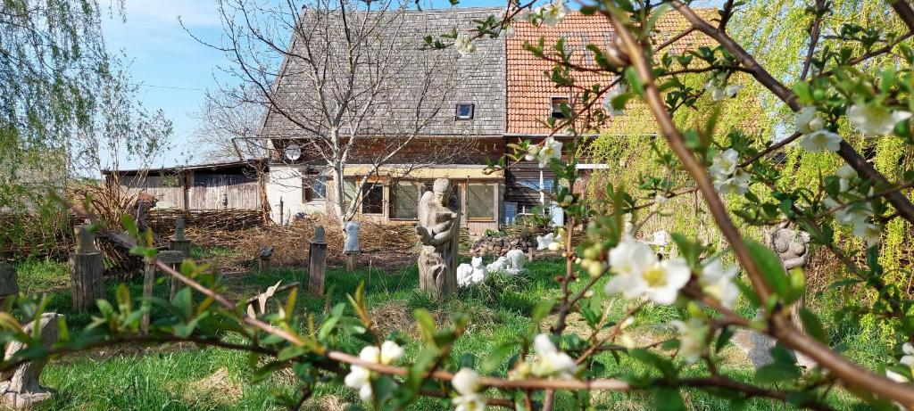 Zahrada ubytování Kunstwerk Usedom & Fahrradherberge