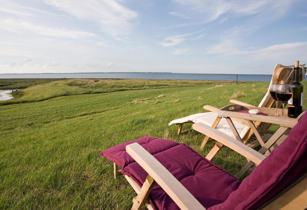 a picnic table and two chairs in a field at Anker's Hörn - Hotel & Restaurant auf der Hallig Langeness in Langeneß