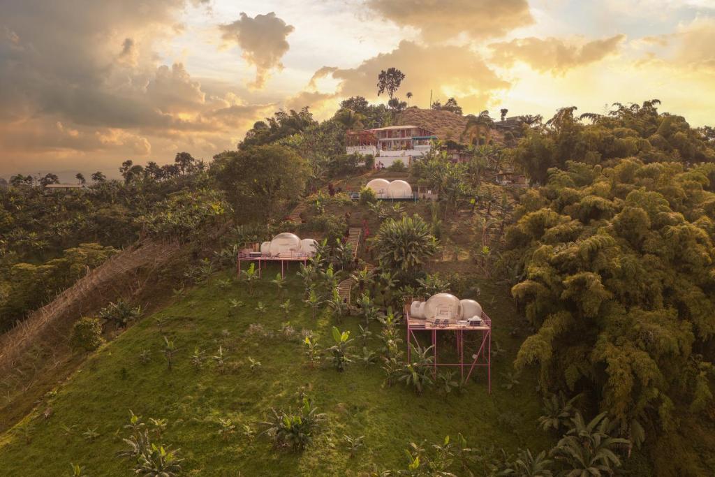 Zahrada ubytování Glamping Balcón del Cielo