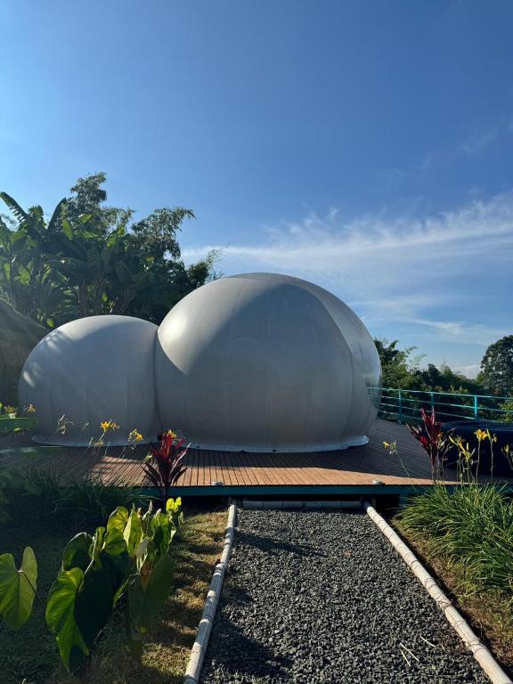 Zahrada ubytování Glamping Balcón del Cielo