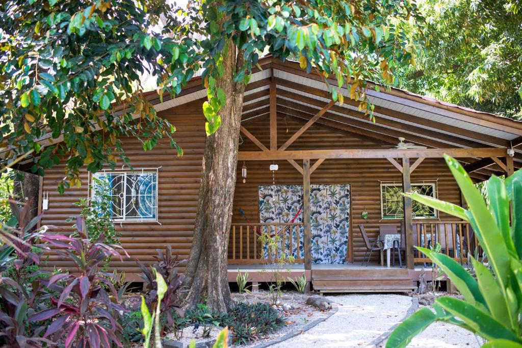 Zahrada ubytování Boho lodge Montezuma l&l