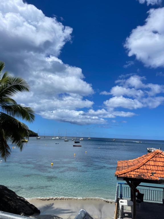 Φυσικό τοπίο κοντά σε αυτό το διαμέρισμα